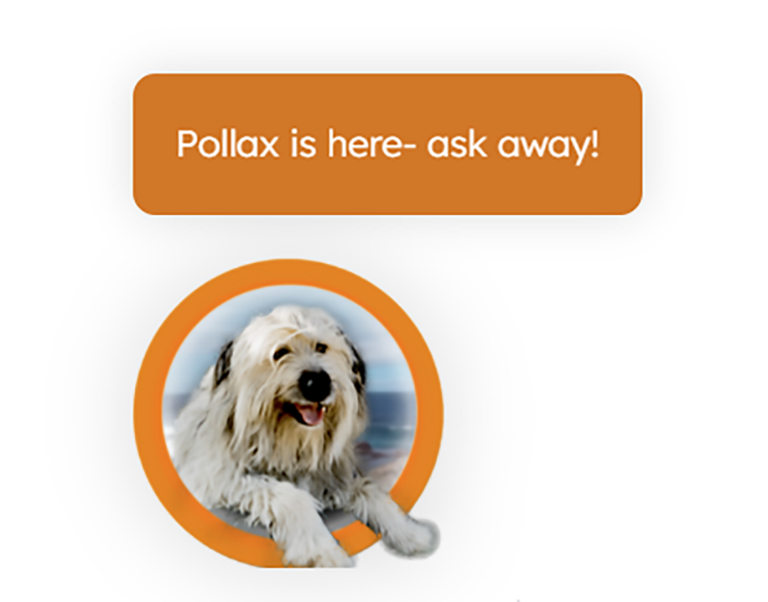 Meet Pollax: Your New AI Assistant at VPC